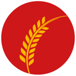 Riordan logo